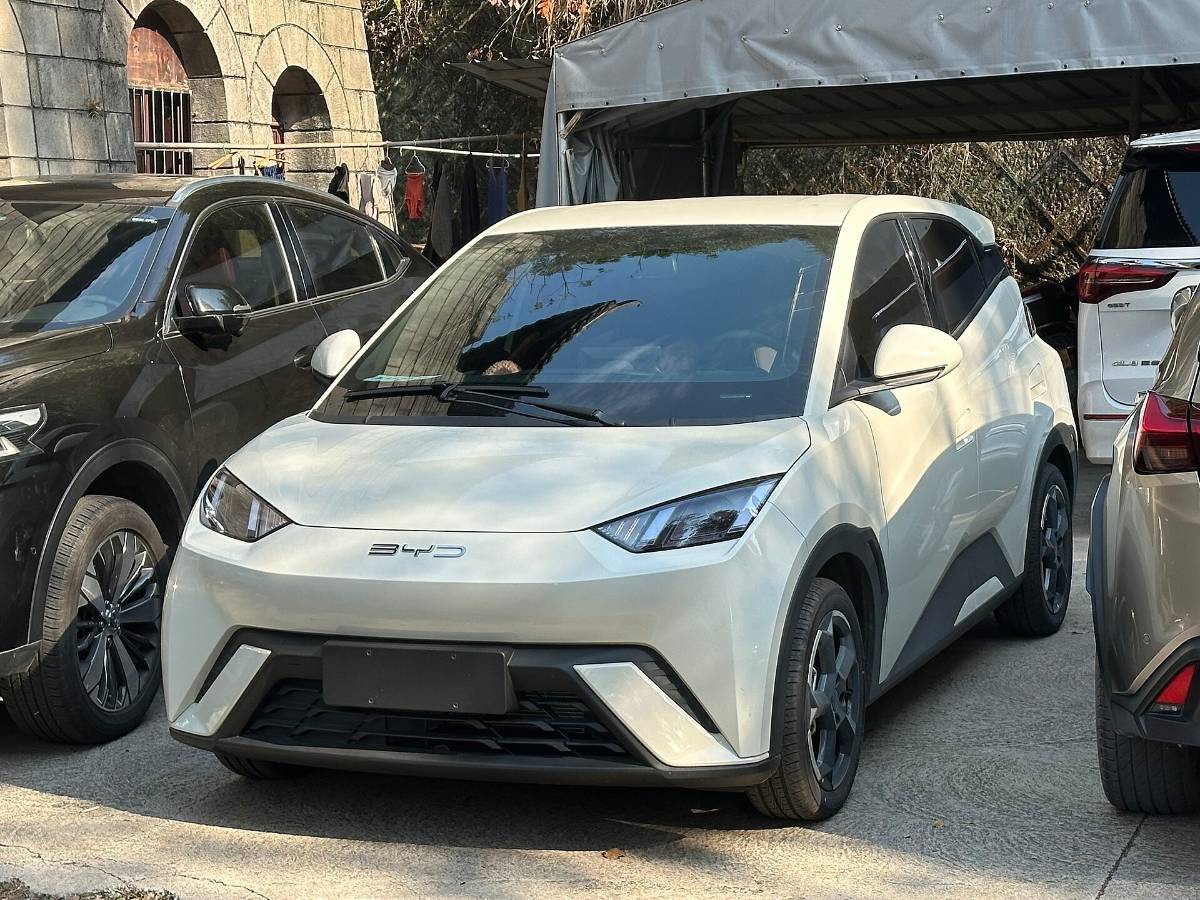 Dolphin Mini 2026: Vale a Pena Comprar?